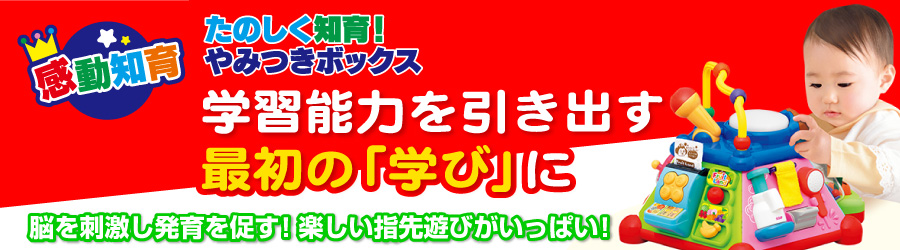 たのしく知育！やみつきボックス　脳を刺激し発育を促す！楽しい指先遊びがいっぱい